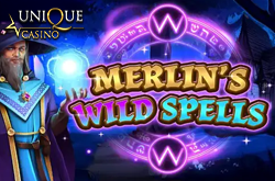 Merlins Wild Spells